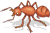 An Ant