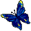 A butterfly